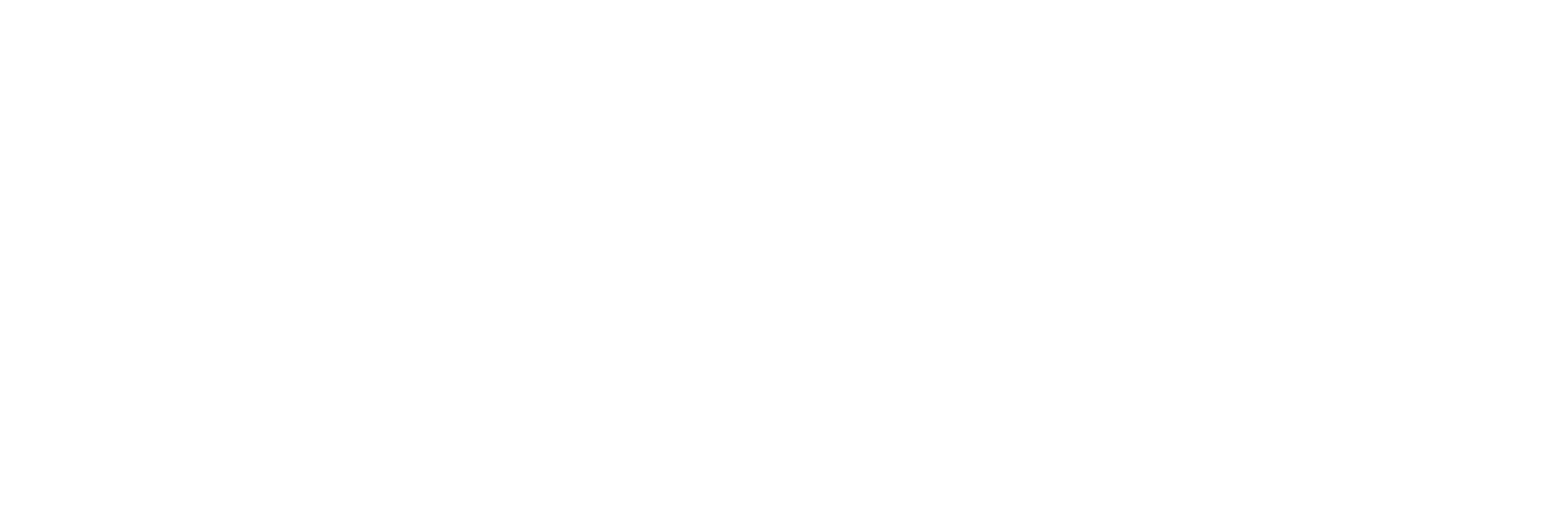 Spazio eFFe CONSULTING